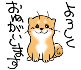 Mameshibaco! sticker #15794931