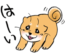 Mameshibaco! sticker #15794932