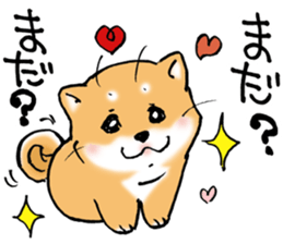 Mameshibaco! sticker #15794935