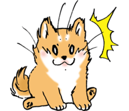 Mameshibaco! sticker #15794936