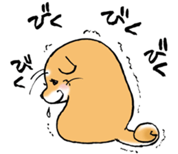 Mameshibaco! sticker #15794937