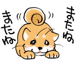 Mameshibaco! sticker #15794939