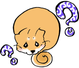 Mameshibaco! sticker #15794941