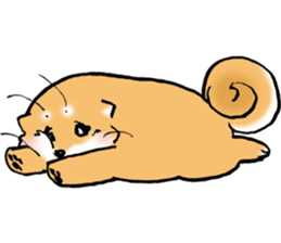 Mameshibaco! sticker #15794942