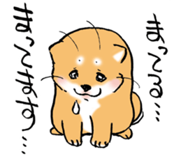 Mameshibaco! sticker #15794944