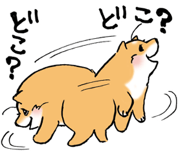 Mameshibaco! sticker #15794945