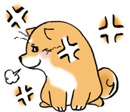 Mameshibaco! sticker #15794947