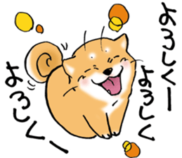 Mameshibaco! sticker #15794948