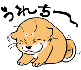 Mameshibaco! sticker #15794949