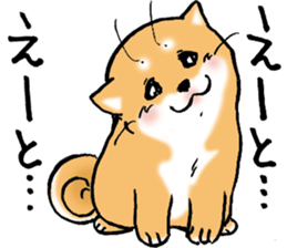 Mameshibaco! sticker #15794950