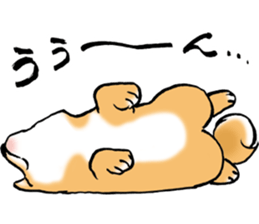 Mameshibaco! sticker #15794951