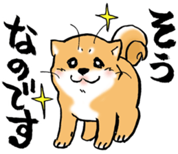 Mameshibaco! sticker #15794954