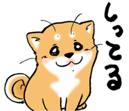 Mameshibaco! sticker #15794955