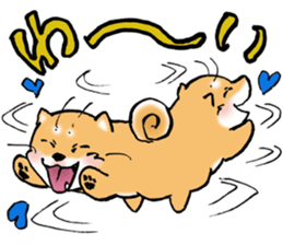 Mameshibaco! sticker #15794958