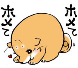 Mameshibaco! sticker #15794959