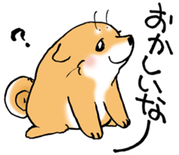 Mameshibaco! sticker #15794960
