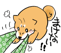 Mameshibaco! sticker #15794961