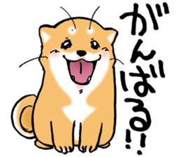 Mameshibaco! sticker #15794962