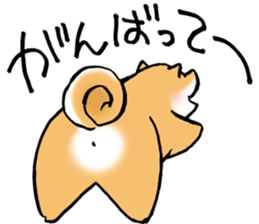 Mameshibaco! sticker #15794963