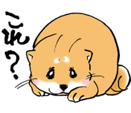 Mameshibaco! sticker #15794964