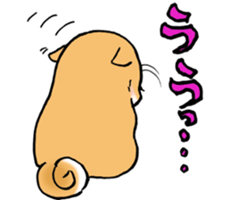 Mameshibaco! sticker #15794965