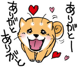 Mameshibaco! sticker #15794966