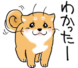 Mameshibaco! sticker #15794969