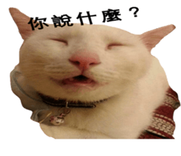 Cat Little B And Friends sticker #15795355