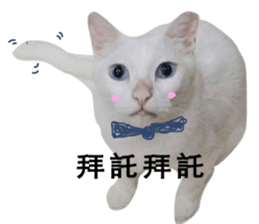 Cat Little B And Friends sticker #15795356