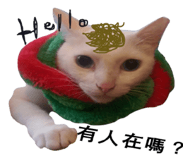 Cat Little B And Friends sticker #15795357