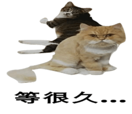 Cat Little B And Friends sticker #15795358