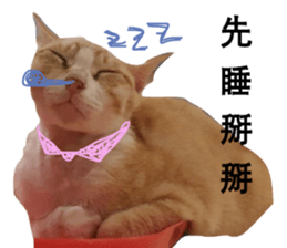 Cat Little B And Friends sticker #15795359