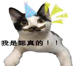 Cat Little B And Friends sticker #15795360