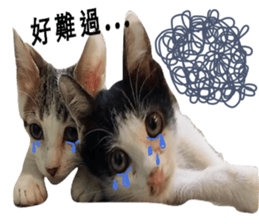 Cat Little B And Friends sticker #15795361