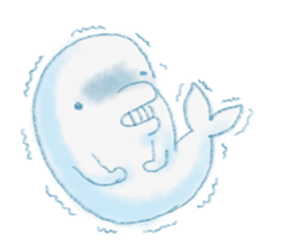 beluga whale sticker #15795551