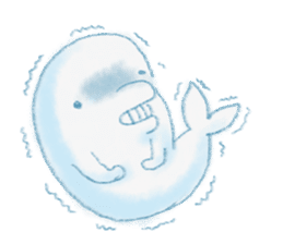 beluga whale sticker #15795551