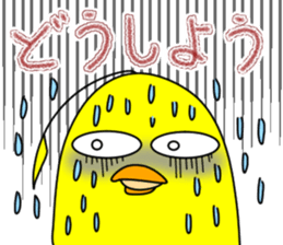 Newcomer's chick. sticker #15796233