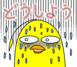 Newcomer's chick. sticker #15796233