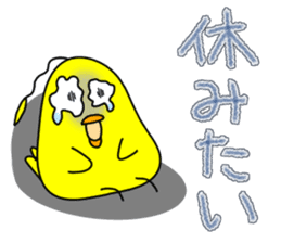 Newcomer's chick. sticker #15796239