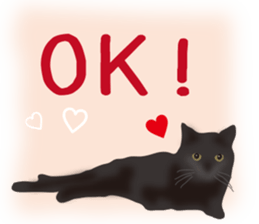 We are Black cats sticker #15796298