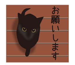 We are Black cats sticker #15796300