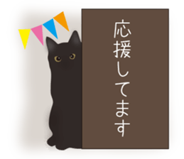 We are Black cats sticker #15796303