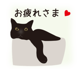 We are Black cats sticker #15796305