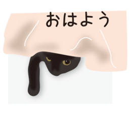 We are Black cats sticker #15796306