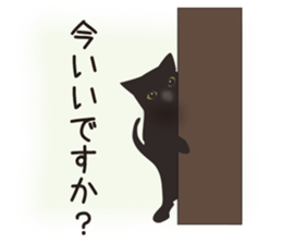 We are Black cats sticker #15796308