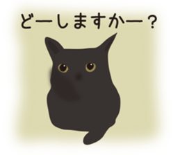 We are Black cats sticker #15796321