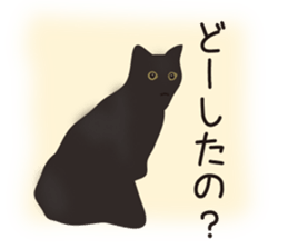 We are Black cats sticker #15796328