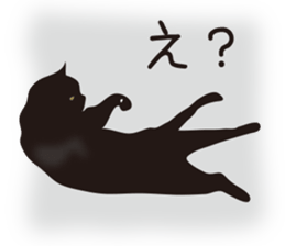 We are Black cats sticker #15796331