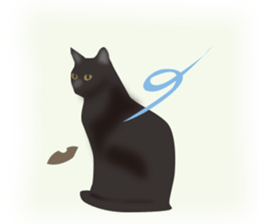 We are Black cats sticker #15796337