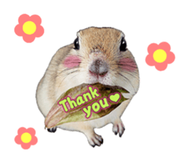 Charming Urocitellus richardsonii sticker #15796957